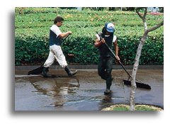 Pavement sealers