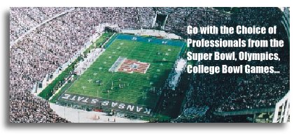 Professional sports stadiuim paints