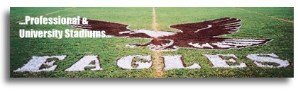 College sports stadium paints